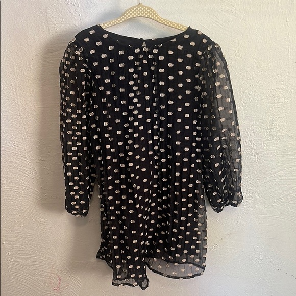 Zara Other - Zara Black Sheer Polka Dot Blouse